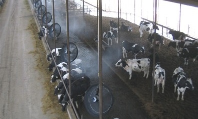 現(xiàn)代畜牧場(chǎng)綜合噴霧系統(tǒng) 降溫、消毒與除臭的技術(shù)革新與應(yīng)用